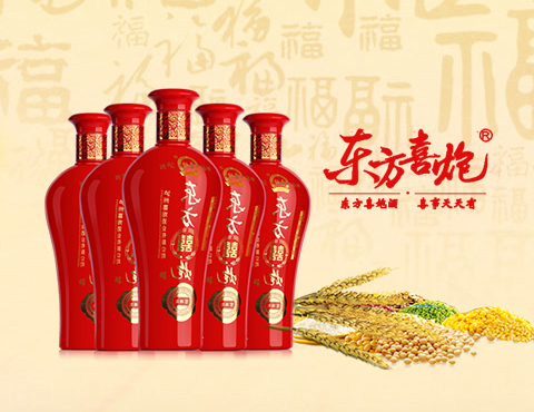 东方喜炮-网站建设项目--互诺科技