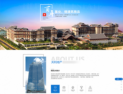 深圳天利地产集团有限公司网站建设项目--互诺科技