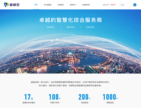 深圳市迪威迅股份有限公司网站建设项目--互诺科技