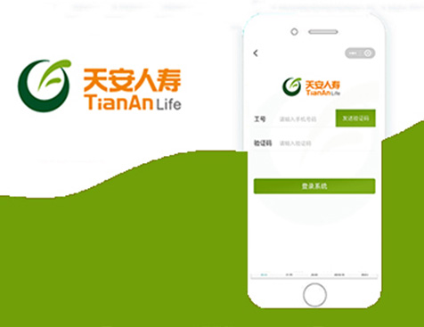 天安人寿保险股份有限公司广东分公司小程序网站建设项目--互诺科技