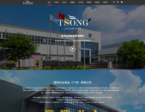 媞颂日化用品（广州）有限公司网站建设项目--互诺科技