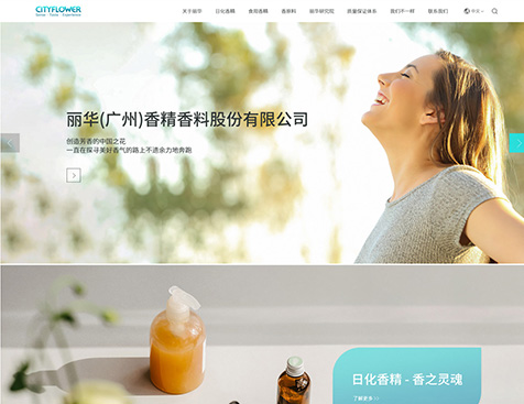 丽华（广州）香精股份有限公司网站建设项目--互诺科技