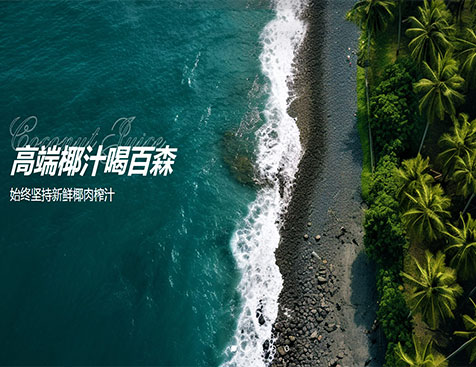 百森国际网站建设项目--互诺科技