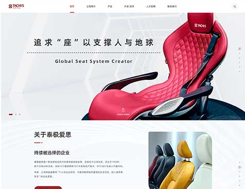 泰极爱思（中国）投资有限公司官网网站建设项目--互诺科技