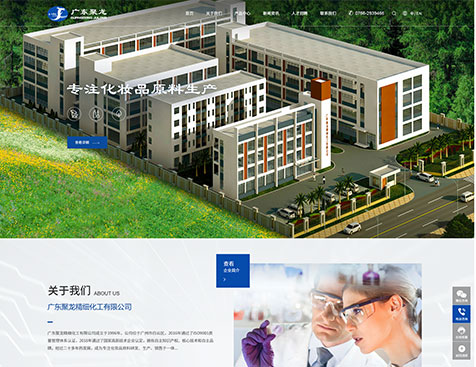 广东聚龙精细化工有限公司网站定制项目--互诺科技