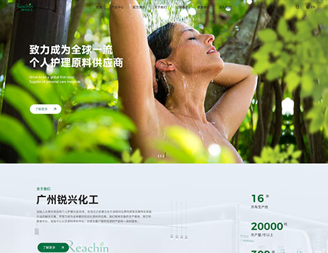 广州锐兴化工科技有限公司网站建设项目--互诺科技