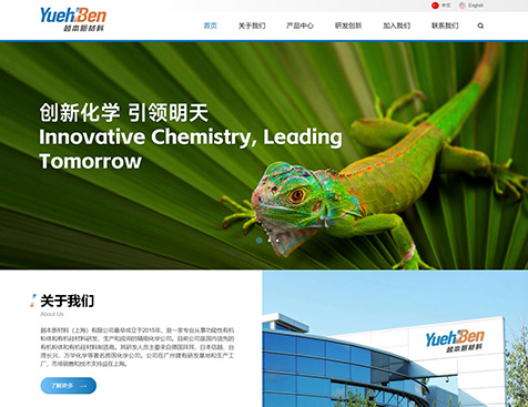 越本新材料(上海)有限公司网站建设项目--互诺科技