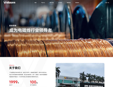 广东威奇电工材料有限公司网站定制开发项目--互诺科技